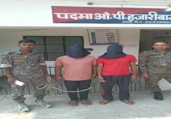 Hazaribagh news, Padma police station, jewelry theft, arrested, Jharkhand crime, local updates, stolen silver recovery