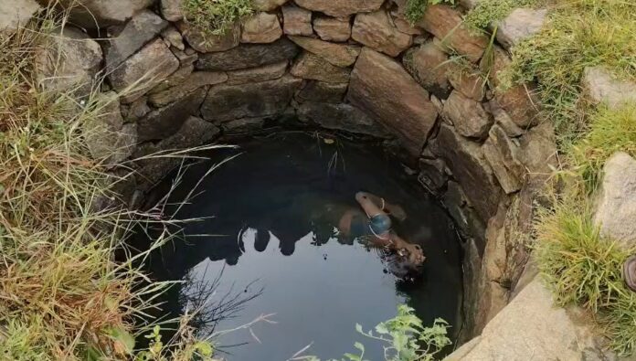 Koderma news, Nawalshahi police station, Dhumadih village, missing woman found dead, well body recovery, illegal liquor trade Koderma, Jharkhand crime news, Gudiya Devi