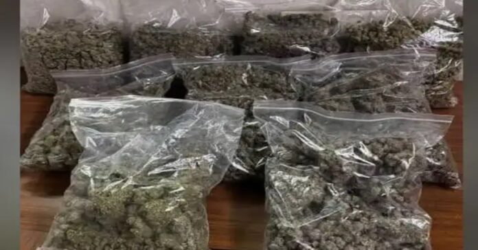 Simdega police, ganja smuggling, Kolabira, Jamshedpur Mango, Devendra Yadav, Amit Kumar Yadav, Odisha crane, drug trafficking Jharkhand